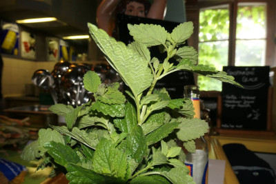 Steff la Cheffe kocht &middot; Mühle Hunziken